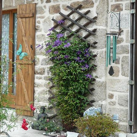 Le Petit Papillon Bed & Breakfast Eymoutiers  Exterior photo